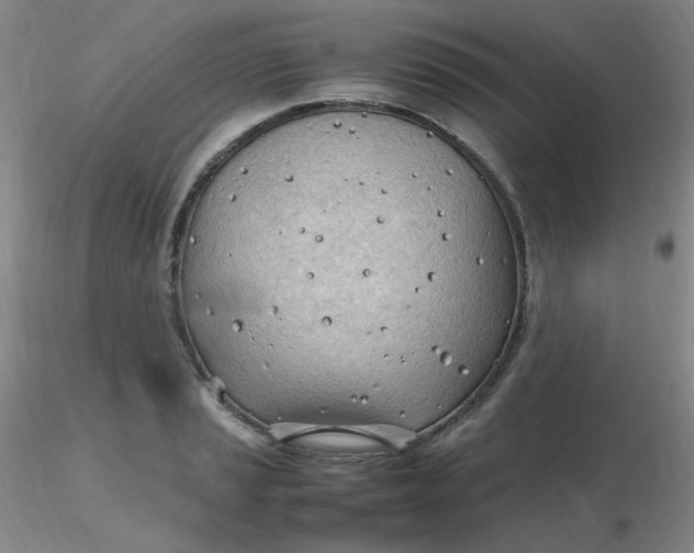 X0000116311037200912211918