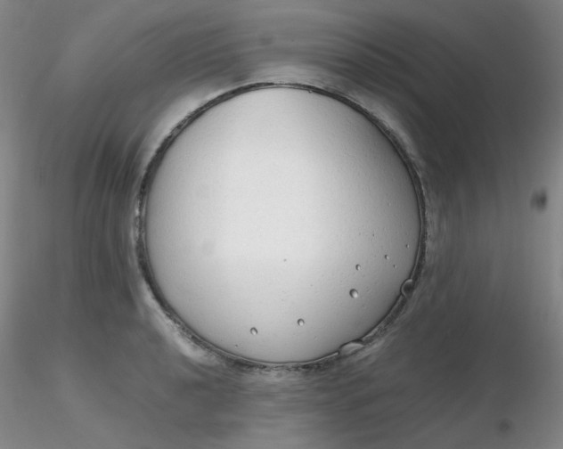 X0000116311040200912211918