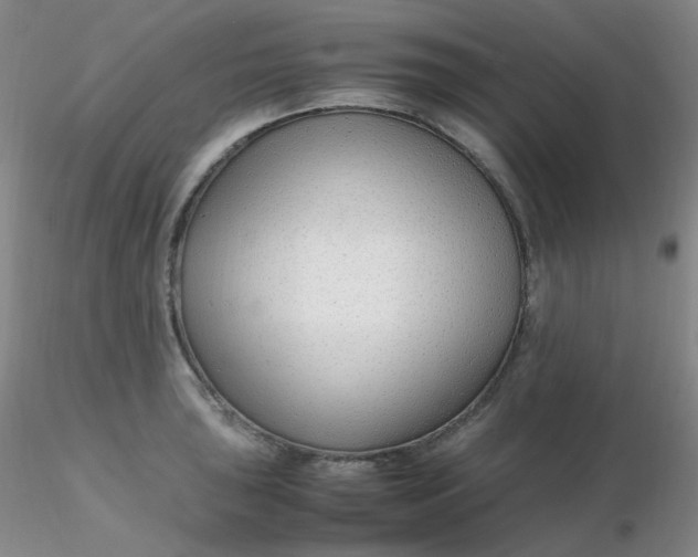 X0000116311043200912211918