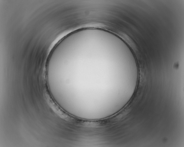 X0000116311044200912211918