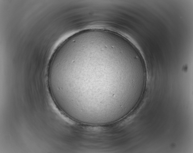 X0000116311045200912211918