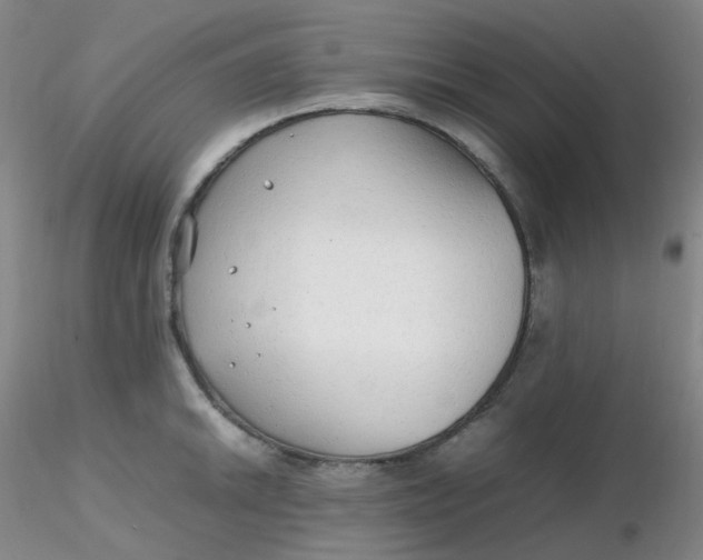 X0000116311046200912211918