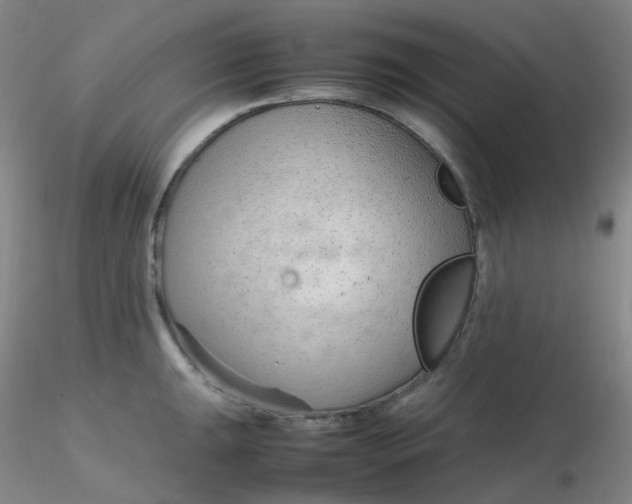 X0000116311047200912211918