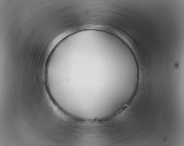 X0000116311050200912211918