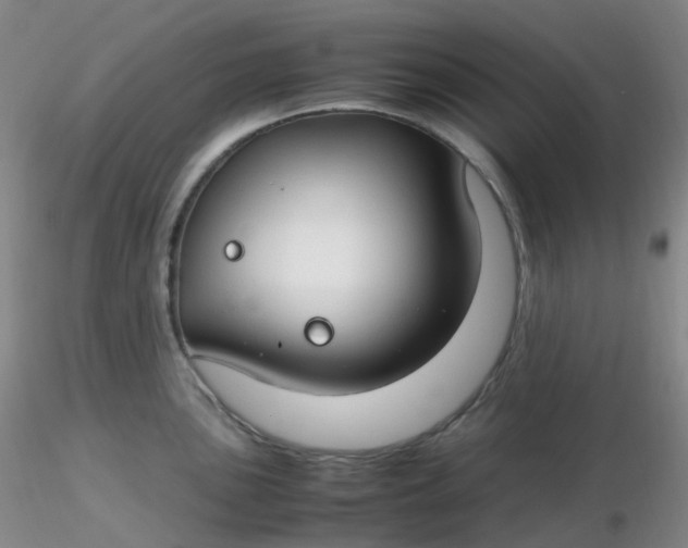 X0000116311051200912211918