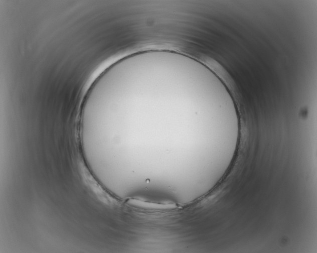 X0000116311052200912211918