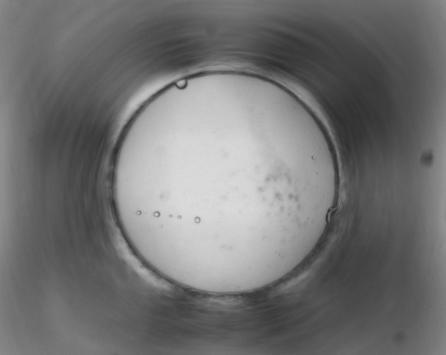 X0000116311053200912211918