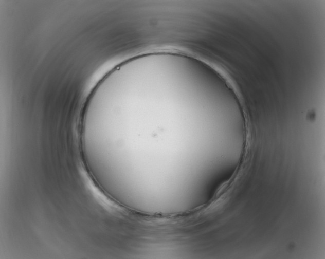 X0000116311054200912211918