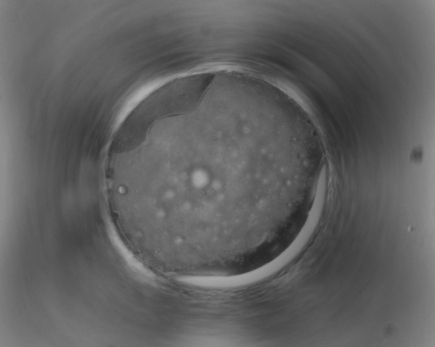 X0000116311055200912211918