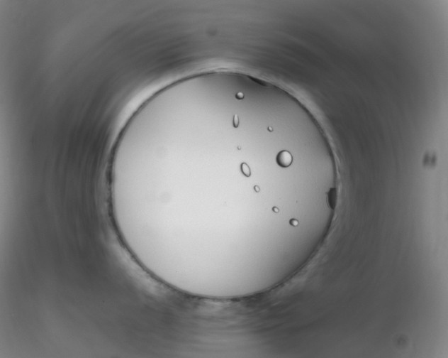 X0000116311056200912211918