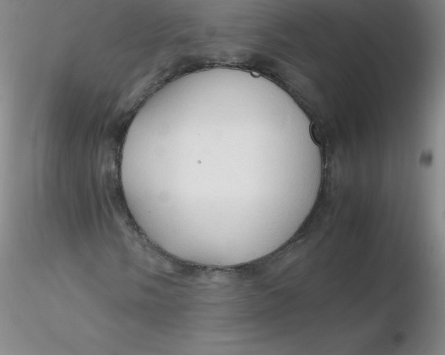 X0000116311058200912211918