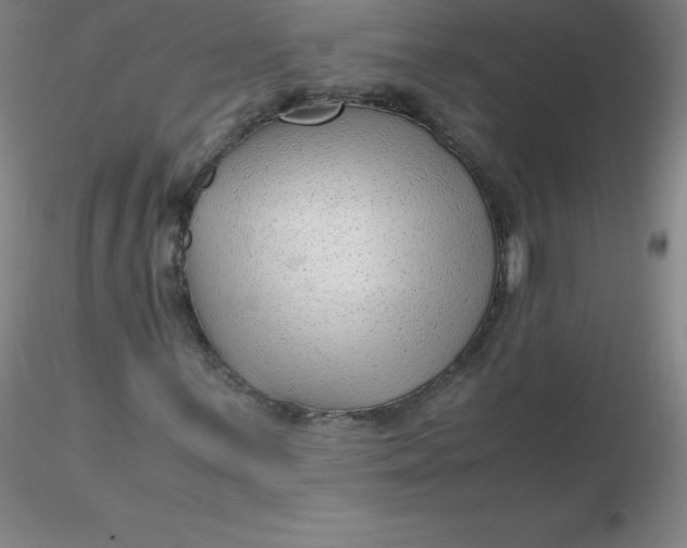 X0000116311059200912211918