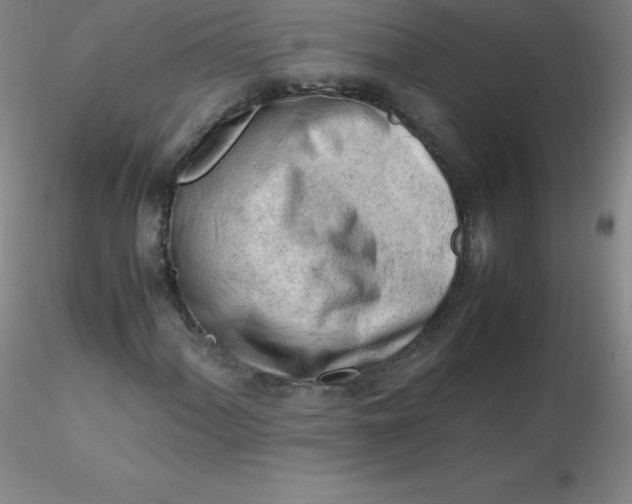 X0000116311060200912211918