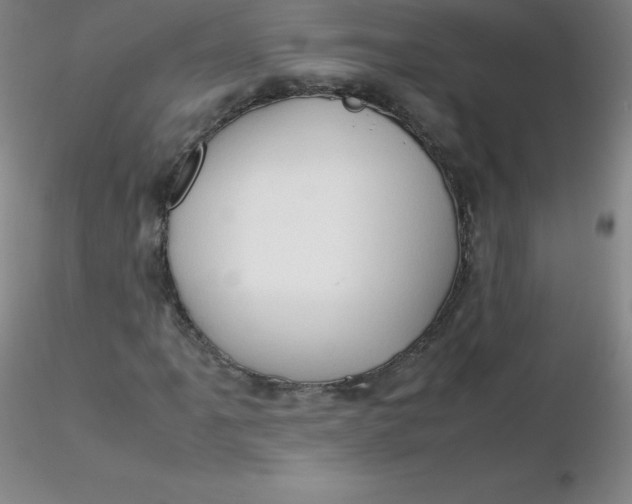 X0000116311061200912211918