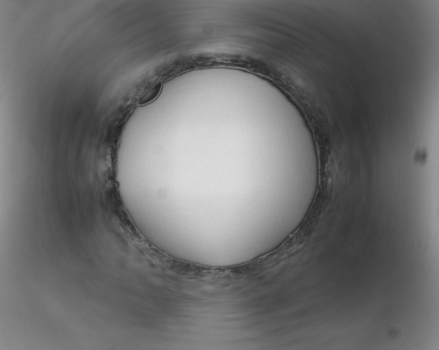 X0000116311062200912211918