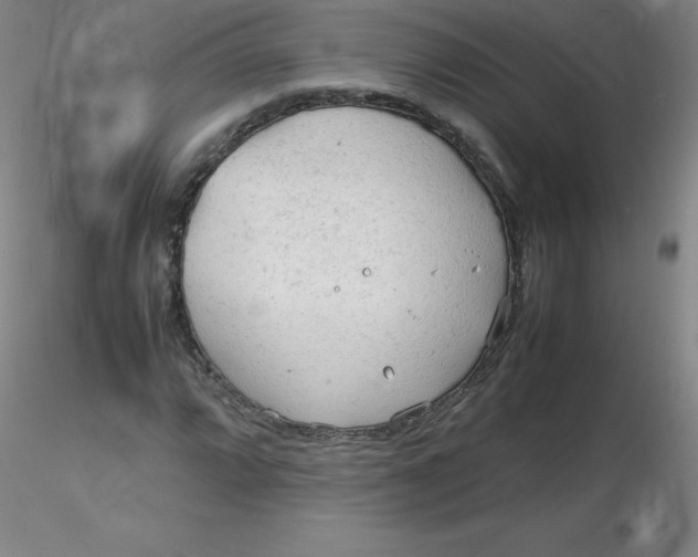 X0000116311064200912211918