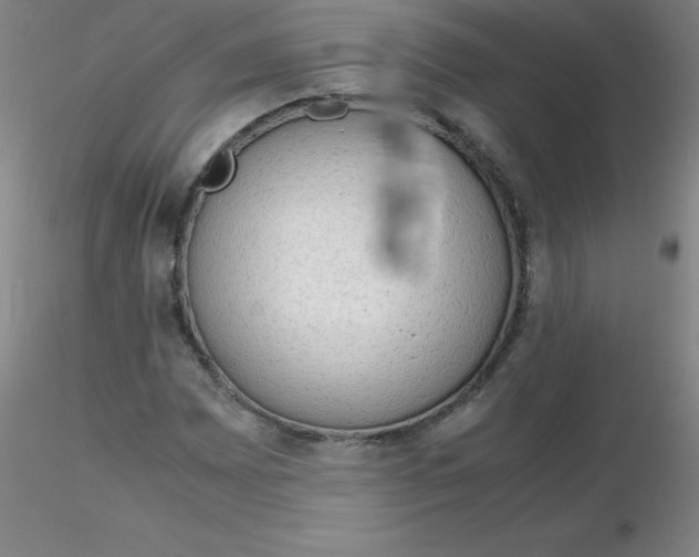 X0000116311065200912211918