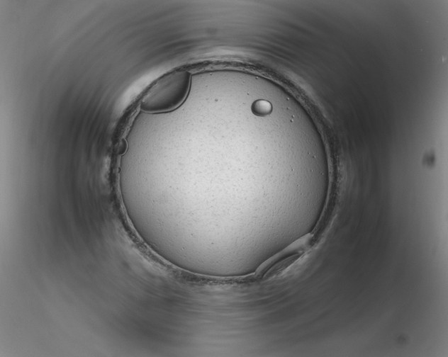 X0000116311066200912211917