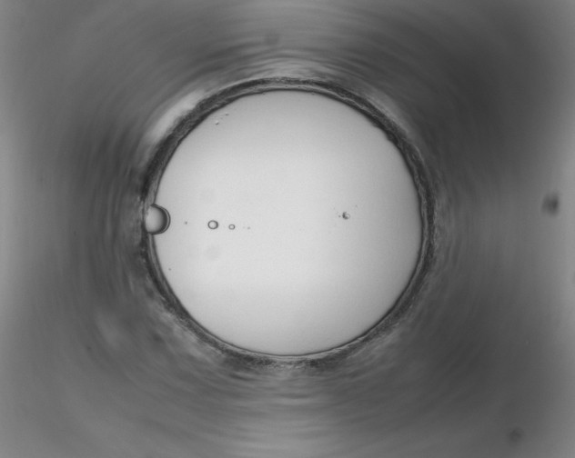 X0000116311067200912211917