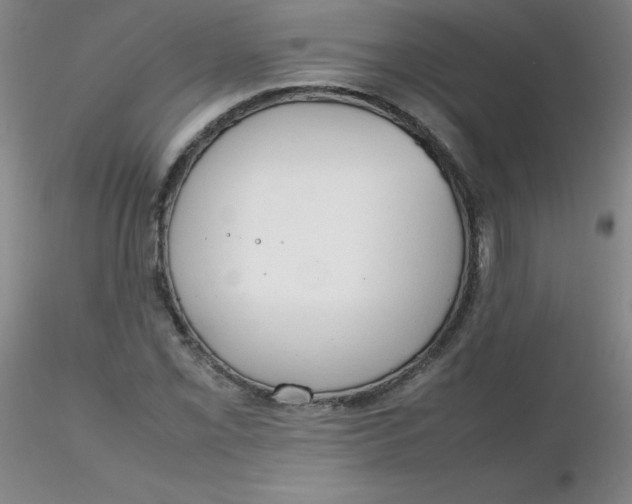 X0000116311069200912211917