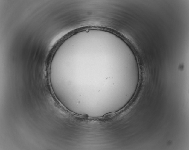 X0000116311070200912211917