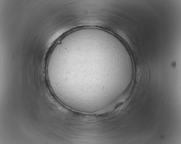 X0000116311071200912211917