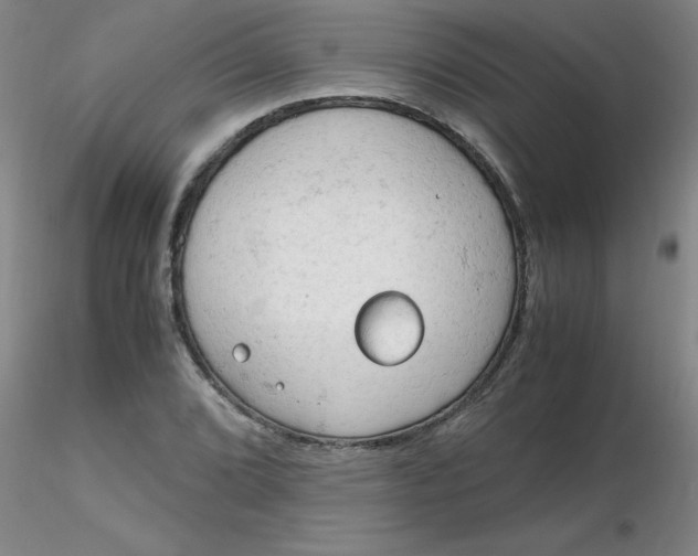 X0000116311072200912211917