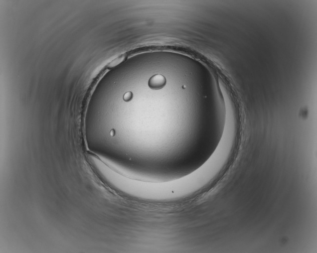 X0000116311073200912211917