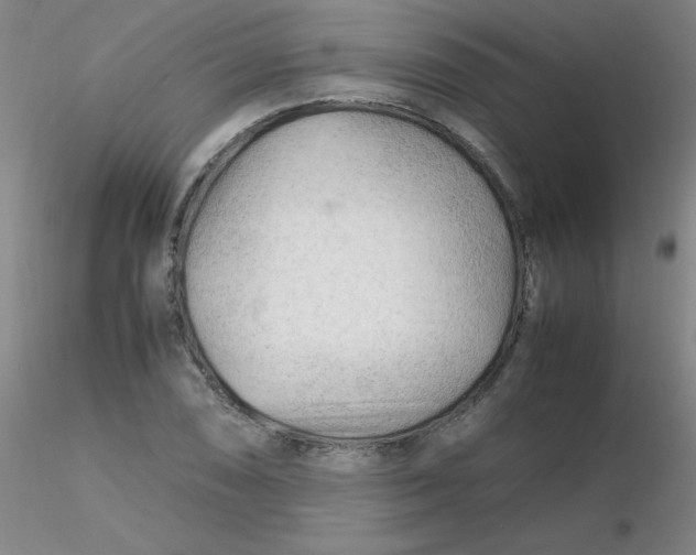 X0000116311074200912211917