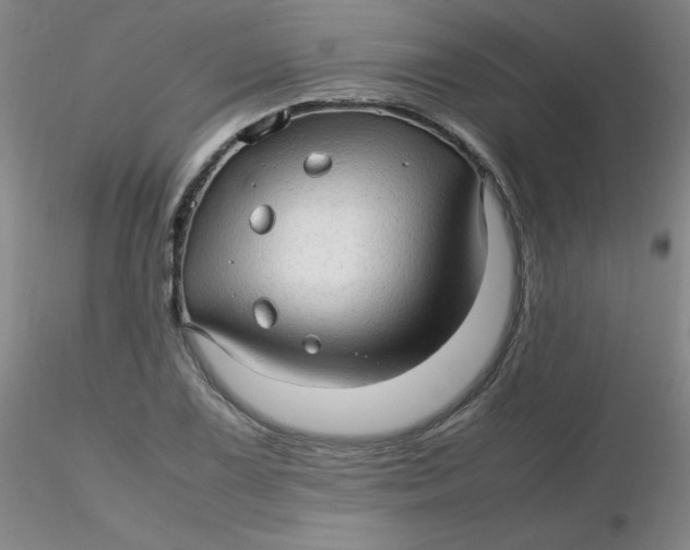 X0000116311075200912211917