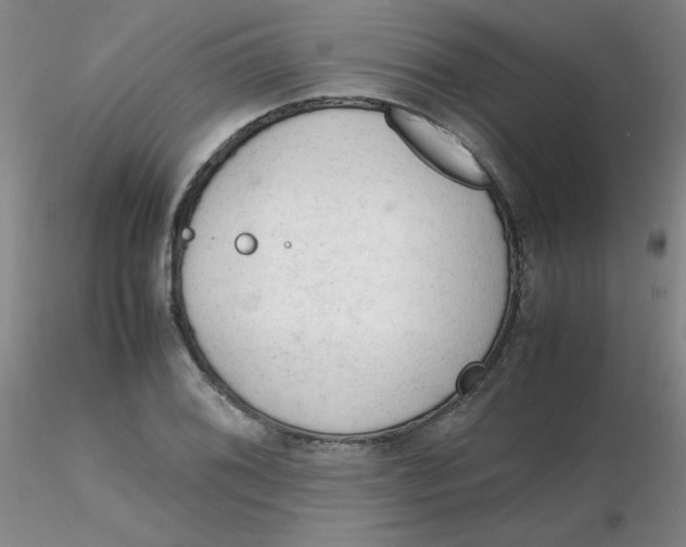 X0000116311076200912211917