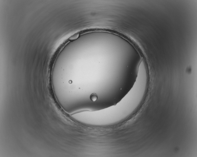 X0000116311077200912211917