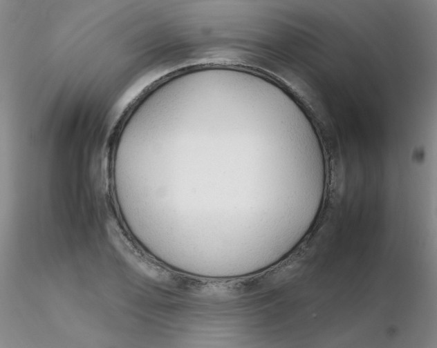 X0000116311078200912211917