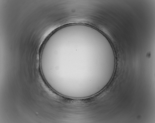 X0000116311079200912211917