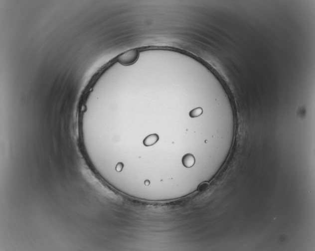 X0000116311080200912211917