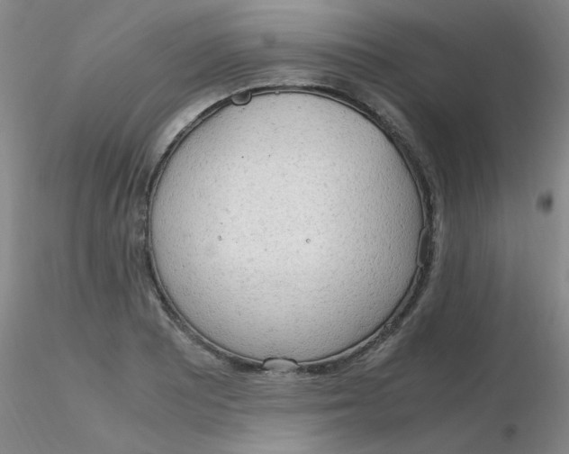 X0000116311081200912211917