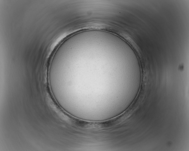 X0000116311083200912211917