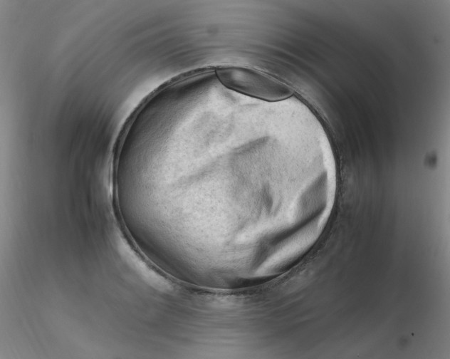 X0000116311084200912211917