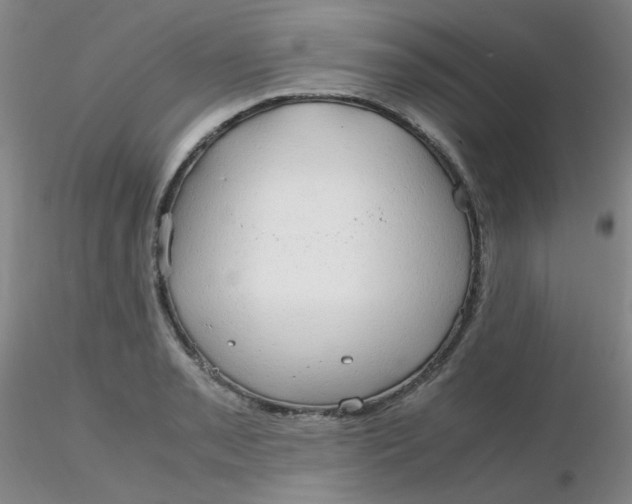 X0000116311085200912211917