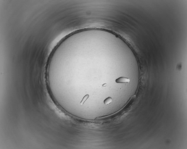 X0000116311086200912211917