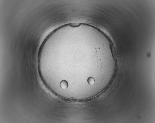 X0000116311088200912211917