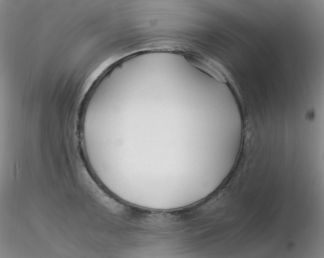 X0000116311091200912211917