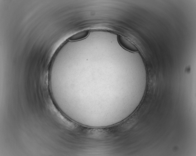 X0000116311092200912211917