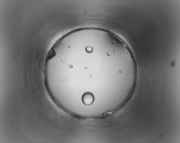 X0000116311093200912211917