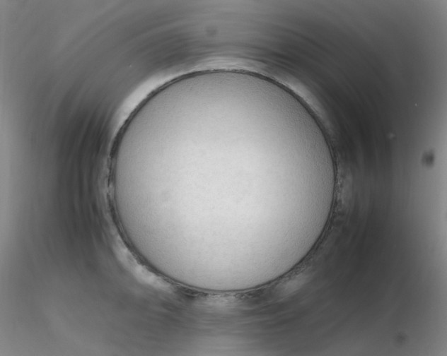 X0000116311094200912211917