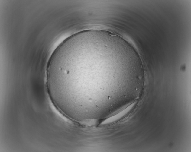 X0000116311095200912211917