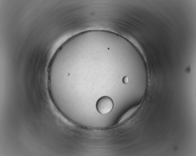 X0000116311096200912211917