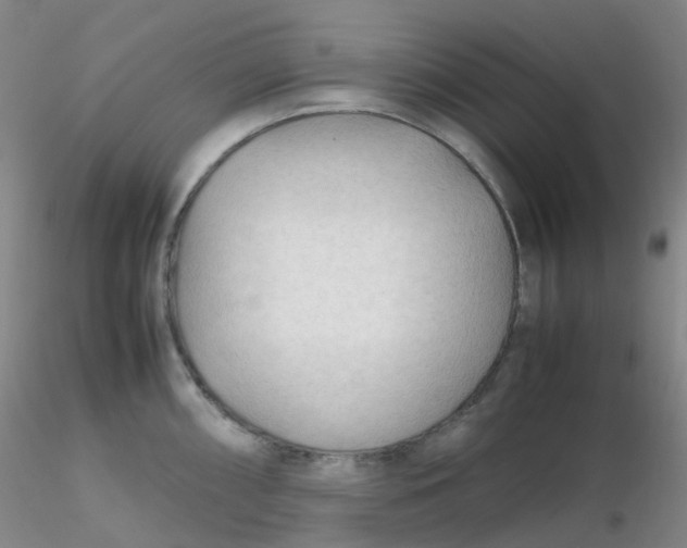 X0000116311098200912211917