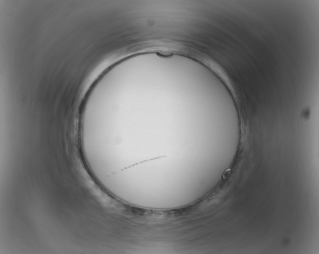 X0000116311099200912211917