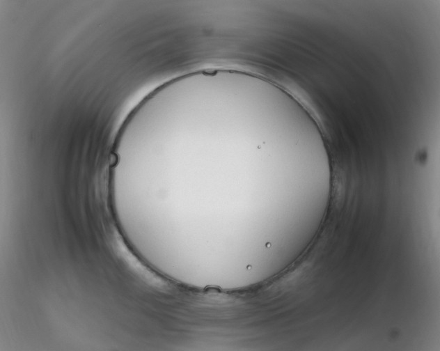 X0000116311100200912211917